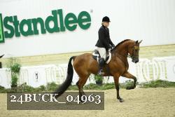 24BUCK_04963 thumbnail