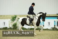 24BUCK_04977 thumbnail