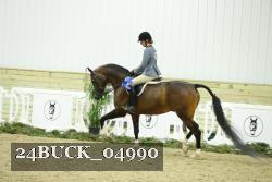 24BUCK_04990 thumbnail