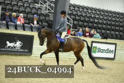 24BUCK_04994 thumbnail