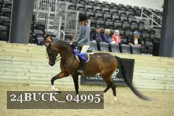 24BUCK_04995 thumbnail