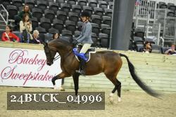 24BUCK_04996 thumbnail