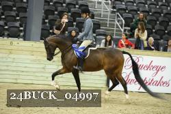 24BUCK_04997 thumbnail