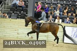 24BUCK_04998 thumbnail
