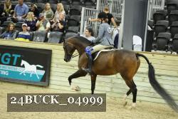 24BUCK_04999 thumbnail