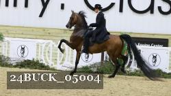 24BUCK_05004 thumbnail