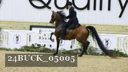 24BUCK_05005 thumbnail