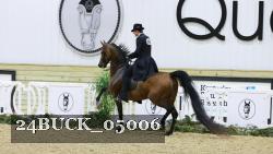 24BUCK_05006 thumbnail