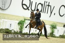 24BUCK_05007 thumbnail