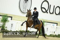24BUCK_05008 thumbnail