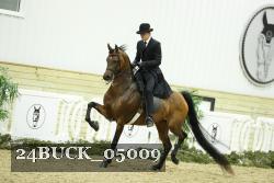 24BUCK_05009 thumbnail