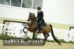 24BUCK_05010 thumbnail