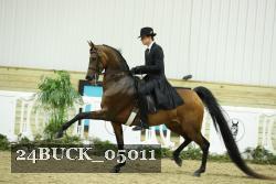 24BUCK_05011 thumbnail