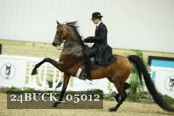 24BUCK_05012 thumbnail
