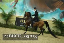 24BUCK_05013 thumbnail