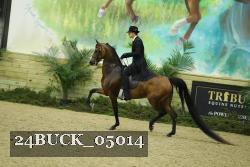 24BUCK_05014 thumbnail