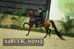 24BUCK_05015 thumbnail