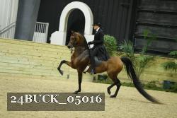 24BUCK_05016 thumbnail