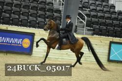 24BUCK_05017 thumbnail