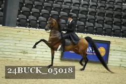 24BUCK_05018 thumbnail