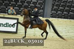 24BUCK_05019 thumbnail
