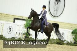 24BUCK_05020 thumbnail