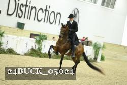 24BUCK_05024 thumbnail