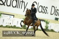 24BUCK_05025 thumbnail