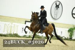 24BUCK_05026 thumbnail