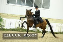 24BUCK_05027 thumbnail