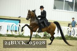 24BUCK_05028 thumbnail