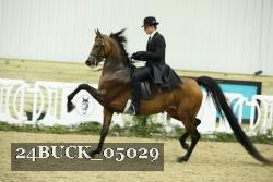 24BUCK_05029 thumbnail