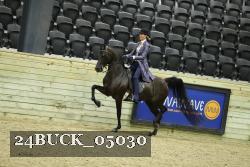 24BUCK_05030 thumbnail