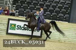 24BUCK_05031 thumbnail