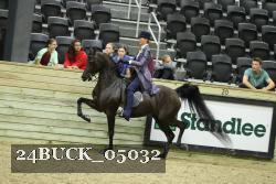 24BUCK_05032 thumbnail