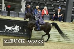 24BUCK_05033 thumbnail