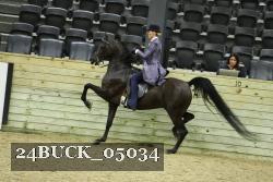 24BUCK_05034 thumbnail