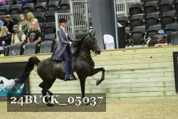 24BUCK_05037 thumbnail