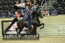 24BUCK_05038 thumbnail