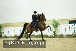 24BUCK_05039 thumbnail