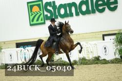 24BUCK_05040 thumbnail
