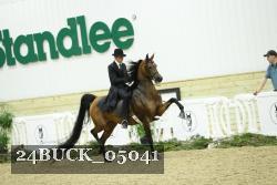 24BUCK_05041 thumbnail