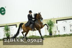 24BUCK_05042 thumbnail