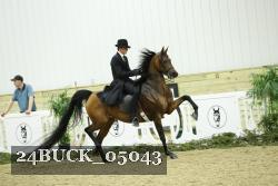 24BUCK_05043 thumbnail