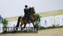 24BUCK_05044 thumbnail