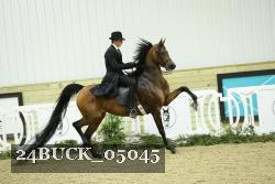 24BUCK_05045 thumbnail