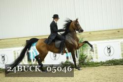 24BUCK_05046 thumbnail