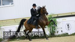 24BUCK_05047 thumbnail