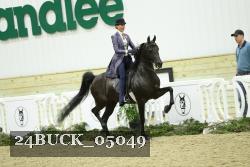 24BUCK_05049 thumbnail