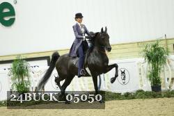 24BUCK_05050 thumbnail